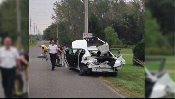 Spider Car Crash Spider Car Crash